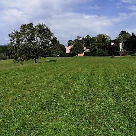 Residenza Le Api Villa Lucca Esterno foto